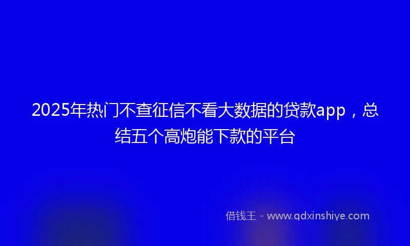 2025年热门不查征信不看大数据的贷款app,总结五个高炮能下款的平台