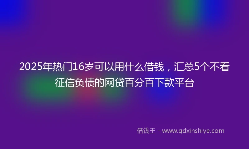 2025年热门16岁可以用什么借钱，汇总5个不看征信负债的网贷百分百下款平台