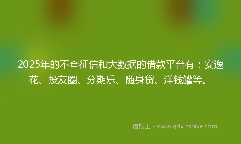 2025年的不查征信和大数据的借款平台有：安逸花、投友圈、分期乐、随身贷、洋钱罐等。