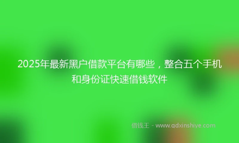 2025年最新黑户借款平台有哪些，整合五个手机和身份证快速借钱软件