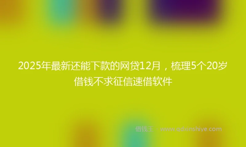 2025年最新还能下款的网贷12月，梳理5个20岁借钱不求征信速借软件