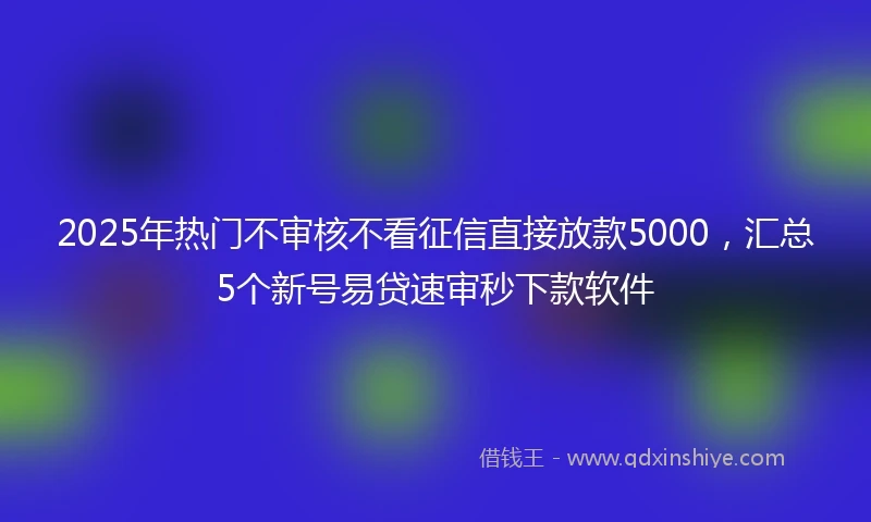 2025年热门不审核不看征信直接放款5000，汇总5个新号易贷速审秒下款软件