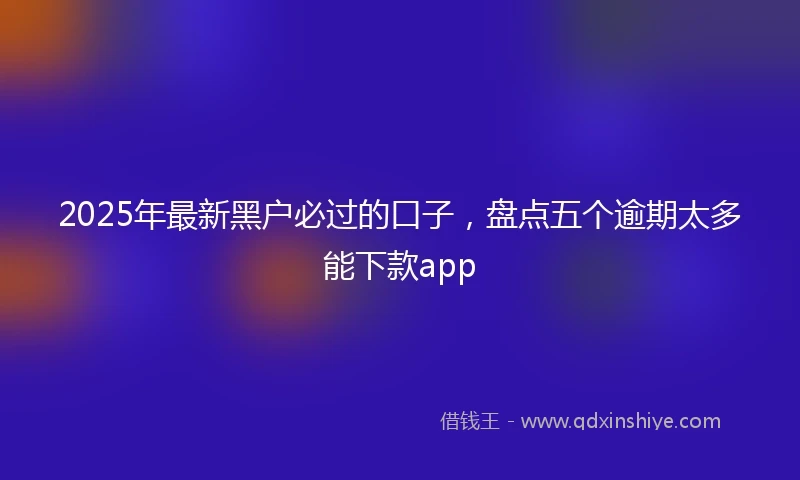 2025年最新黑户必过的口子，盘点五个逾期太多能下款app