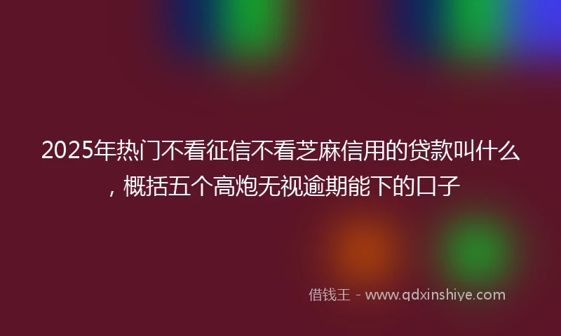 2025年热门不看征信不看芝麻信用的贷款叫什么,概括五个高炮无视逾期能下的口子