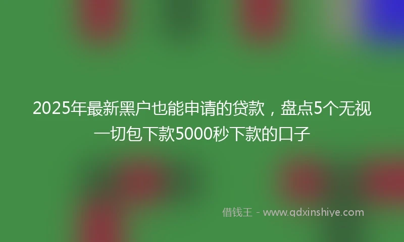 2025年最新黑户也能申请的贷款，盘点5个无视一切包下款5000秒下款的口子
