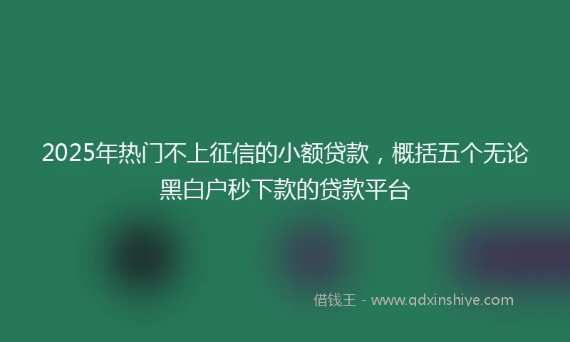 2025年热门不上征信的小额贷款，概括五个无论黑白户秒下款的贷款平台