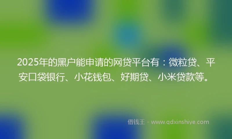 2025年的黑户能申请的网贷平台有:微粒贷、平安口袋银行、小花钱包、好期贷、小米贷款等。