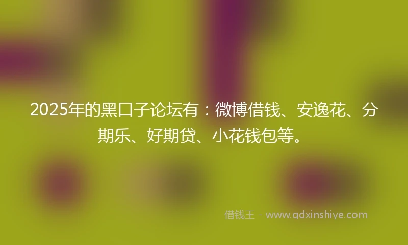2025年的黑口子论坛有：微博借钱、安逸花、分期乐、好期贷、小花钱包等。