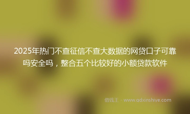 2025年热门不查征信不查大数据的网贷口子可靠吗安全吗，整合五个比较好的小额贷款软件