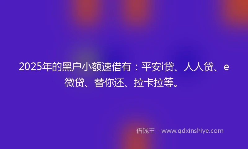 2025年的黑户小额速借有：平安i贷、人人贷、e微贷、替你还、拉卡拉等。