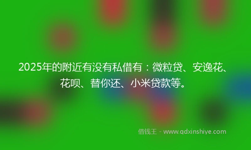 2025年的附近有没有私借有：微粒贷、安逸花、花呗、替你还、小米贷款等。