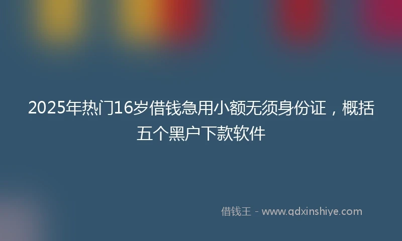 2025年热门16岁借钱急用小额无须身份证，概括五个黑户下款软件