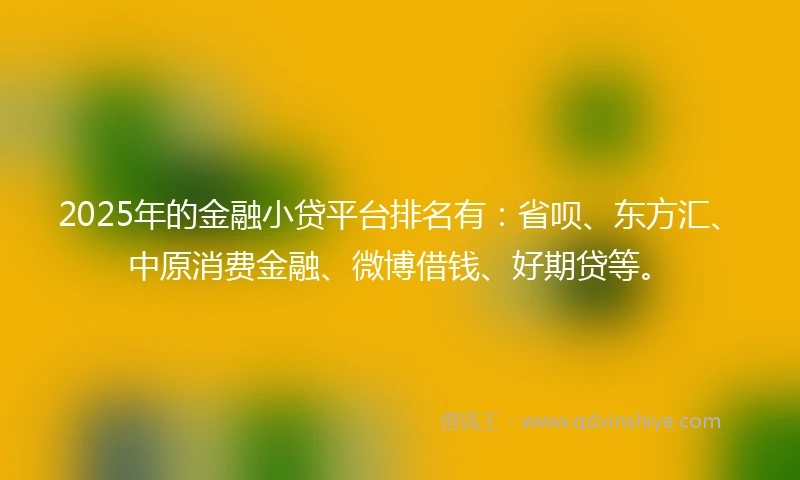 2025年的金融小贷平台排名有：省呗、东方汇、中原消费金融、微博借钱、好期贷等。