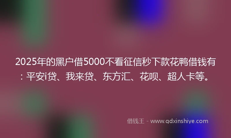2025年的黑户借5000不看征信秒下款花鸭借钱有：平安i贷、我来贷、东方汇、花呗、超人卡等。
