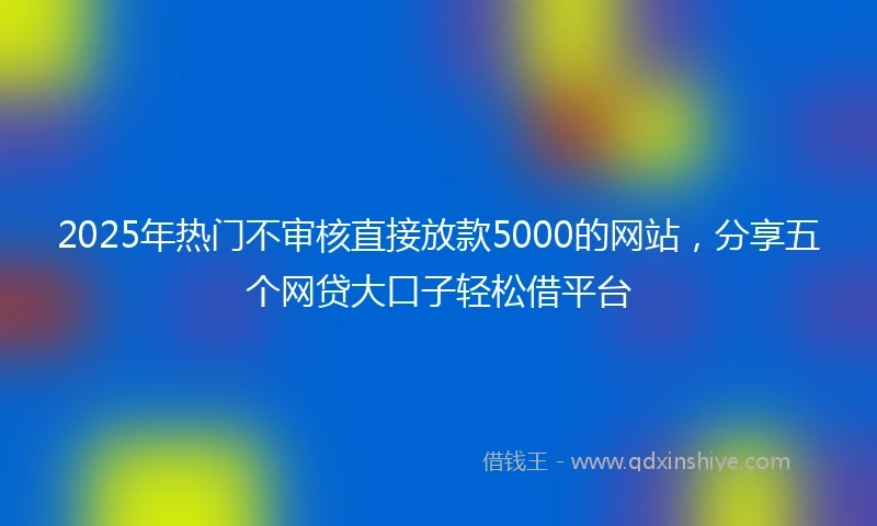 2025年热门不审核直接放款5000的网站,分享五个网贷大口子轻松借平台