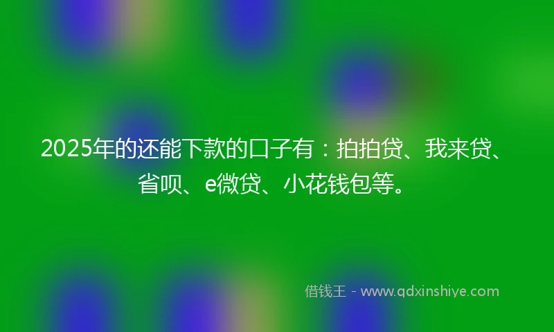 2025年的还能下款的口子有：拍拍贷、我来贷、省呗、e微贷、小花钱包等。