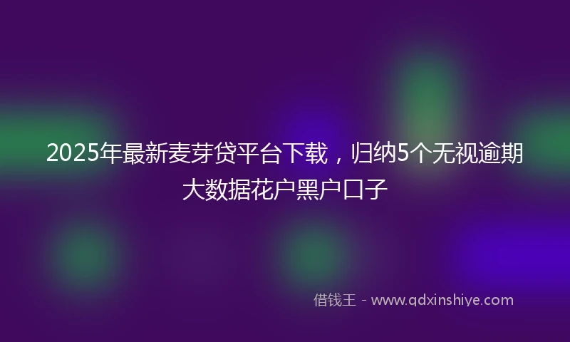 2025年最新麦芽贷平台下载，归纳5个无视逾期大数据花户黑户口子