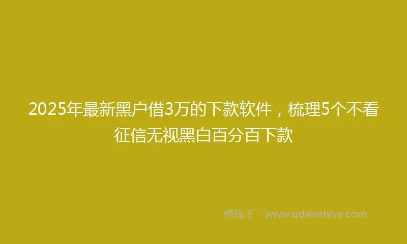 2025年最新黑户借3万的下款软件,梳理5个不看征信无视黑白百分百下款