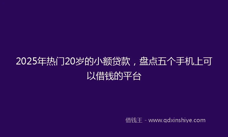 2025年热门20岁的小额贷款，盘点五个手机上可以借钱的平台