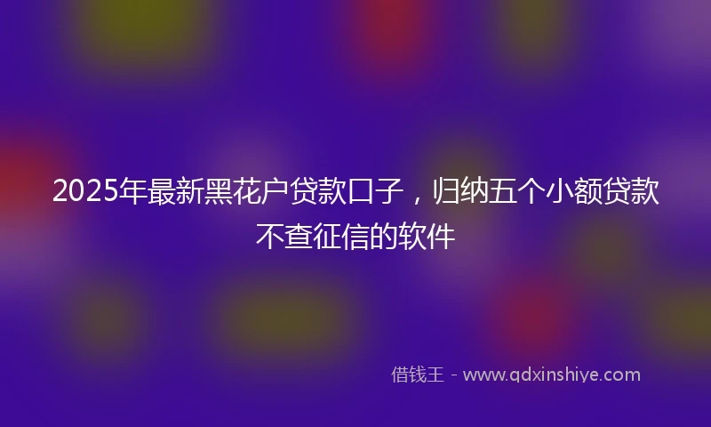2025年最新黑花户贷款口子，归纳五个小额贷款不查征信的软件