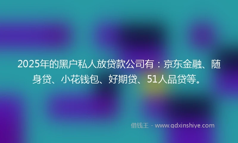 2025年的黑户私人放贷款公司有：京东金融、随身贷、小花钱包、好期贷、51人品贷等。