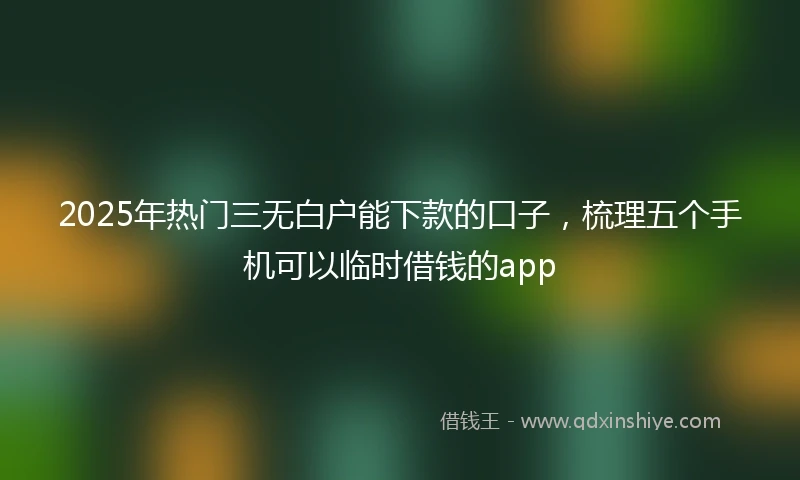2025年热门三无白户能下款的口子，梳理五个手机可以临时借钱的app