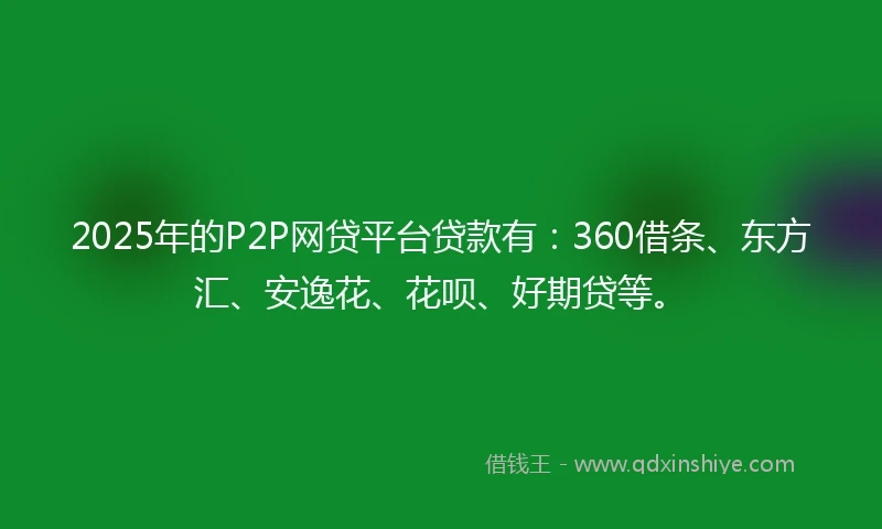 2025年的P2P网贷平台贷款有：360借条、东方汇、安逸花、花呗、好期贷等。