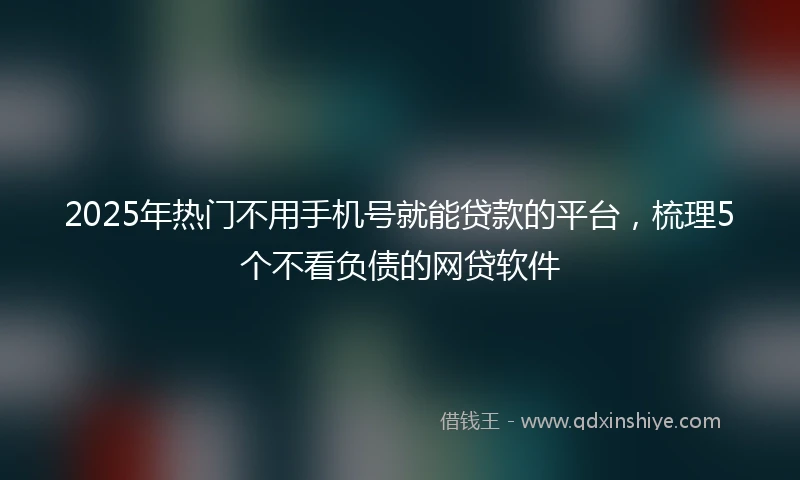 2025年热门不用手机号就能贷款的平台，梳理5个不看负债的网贷软件