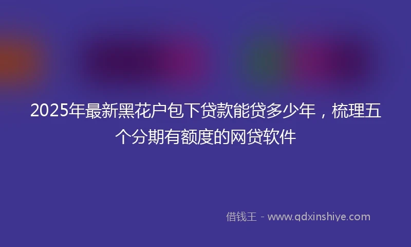 2025年最新黑花户包下贷款能贷多少年，梳理五个分期有额度的网贷软件