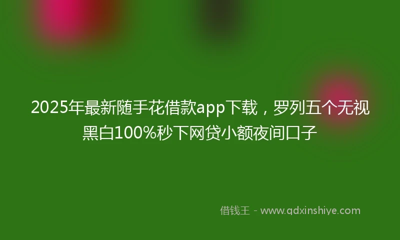 2025年最新随手花借款app下载，罗列五个无视黑白100%秒下网贷小额夜间口子