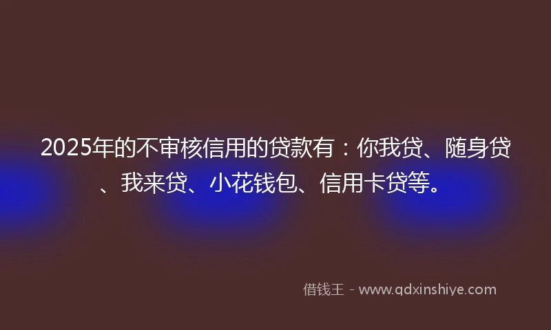 2025年的不审核信用的贷款有：你我贷、随身贷、我来贷、小花钱包、信用卡贷等。
