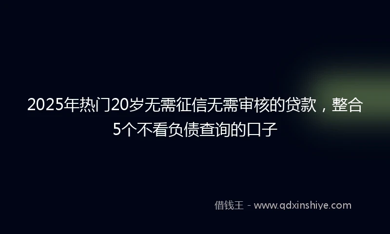 2025年热门20岁无需征信无需审核的贷款,整合5个不看负债查询的口子