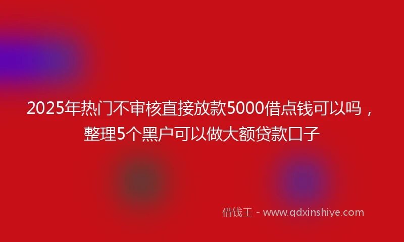 2025年热门不审核直接放款5000借点钱可以吗，整理5个黑户可以做大额贷款口子