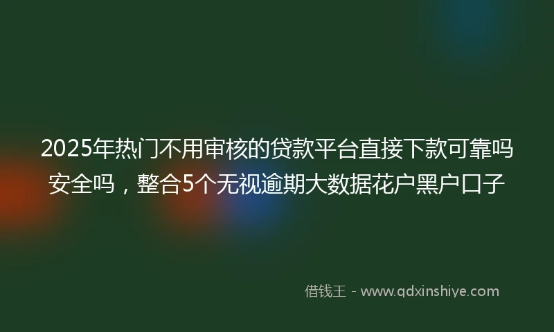 2025年热门不用审核的贷款平台直接下款可靠吗安全吗，整合5个无视逾期大数据花户黑户口子