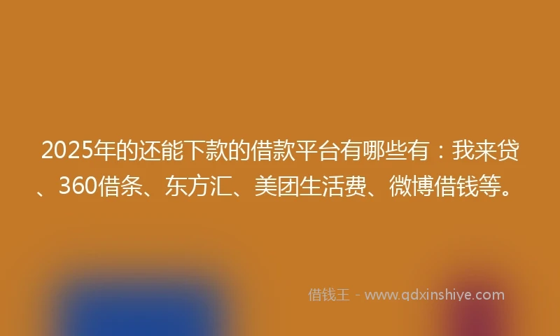 2025年的还能下款的借款平台有哪些有：我来贷、360借条、东方汇、美团生活费、微博借钱等。