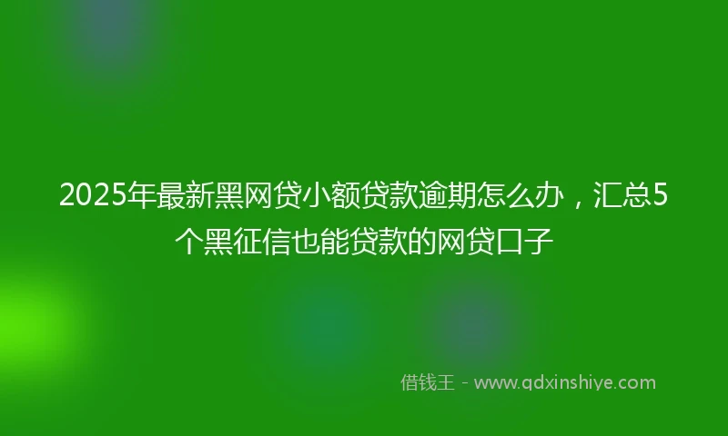 2025年最新黑网贷小额贷款逾期怎么办,汇总5个黑征信也能贷款的网贷口子