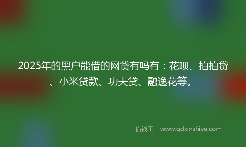 2025年的黑户能借的网贷有吗有：花呗、拍拍贷、小米贷款、功夫贷、融逸花等。