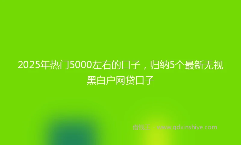 2025年热门5000左右的口子，归纳5个最新无视黑白户网贷口子
