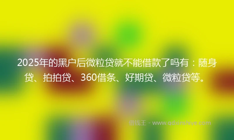 2025年的黑户后微粒贷就不能借款了吗有：随身贷、拍拍贷、360借条、好期贷、微粒贷等。