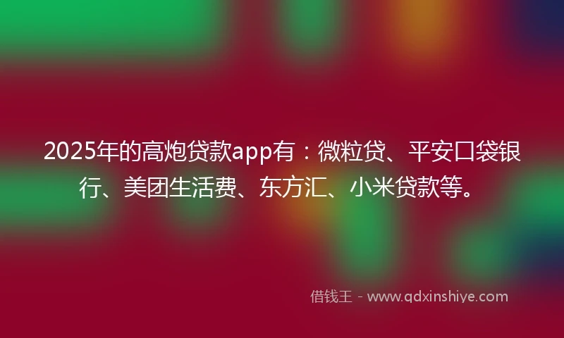 2025年的高炮贷款app有:微粒贷、平安口袋银行、美团生活费、东方汇、小米贷款等。