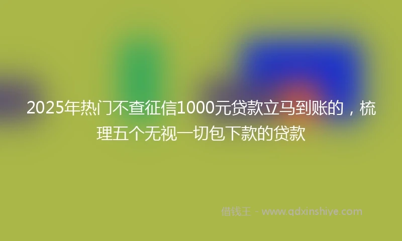 2025年热门不查征信1000元贷款立马到账的，梳理五个无视一切包下款的贷款