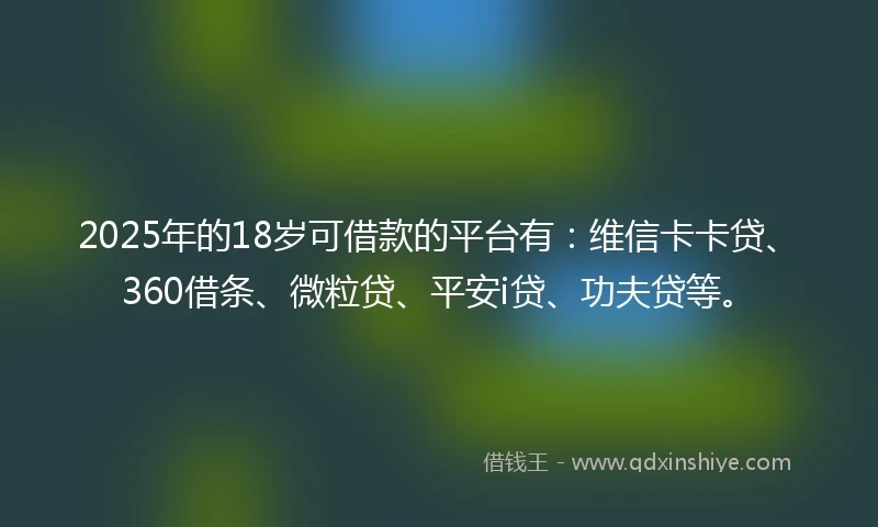 2025年的18岁可借款的平台有：维信卡卡贷、360借条、微粒贷、平安i贷、功夫贷等。