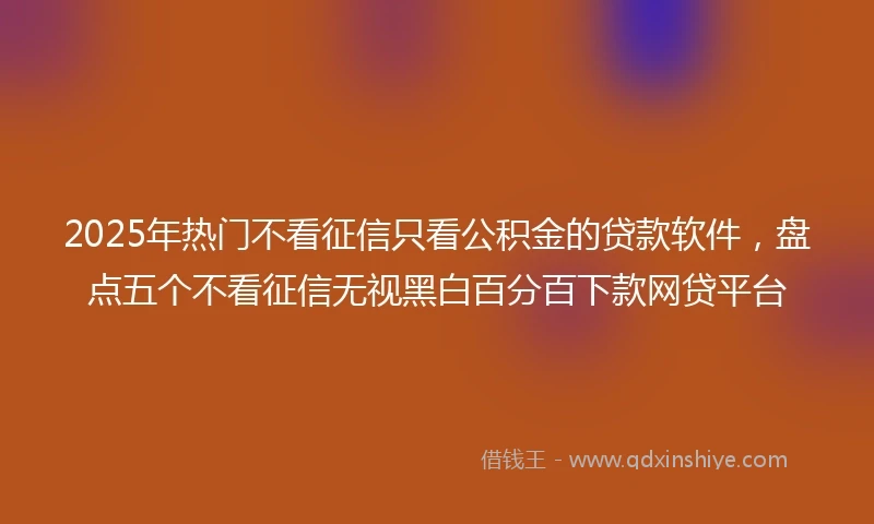 2025年热门不看征信只看公积金的贷款软件，盘点五个不看征信无视黑白百分百下款网贷平台
