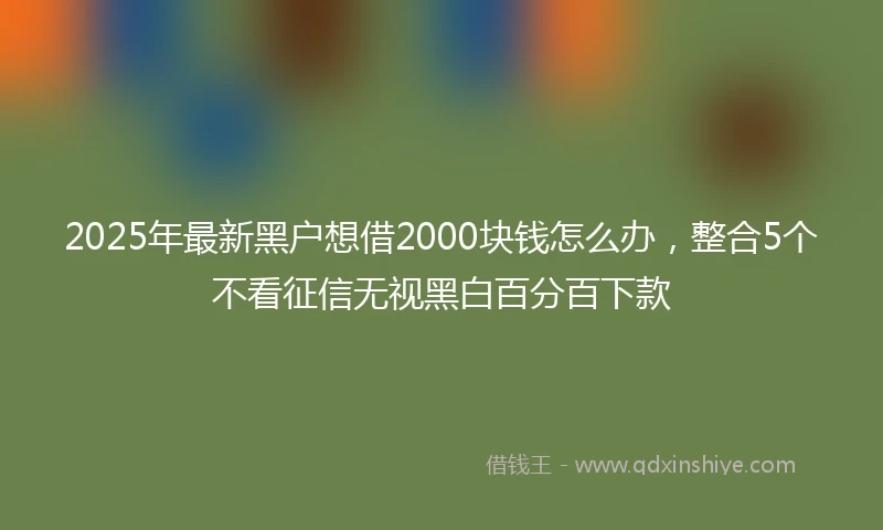 2025年最新黑户想借2000块钱怎么办，整合5个不看征信无视黑白百分百下款