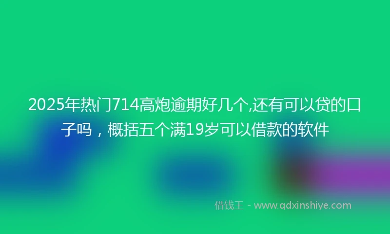 2025年热门714高炮逾期好几个,还有可以贷的口子吗,概括五个满19岁可以借款的软件