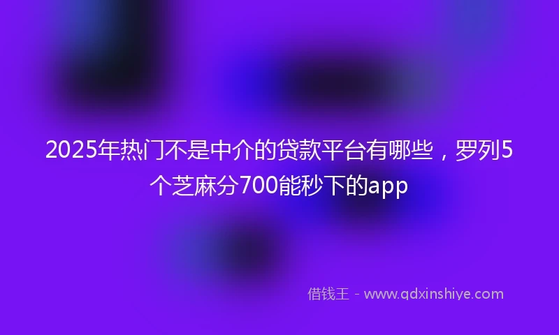 2025年热门不是中介的贷款平台有哪些，罗列5个芝麻分700能秒下的app