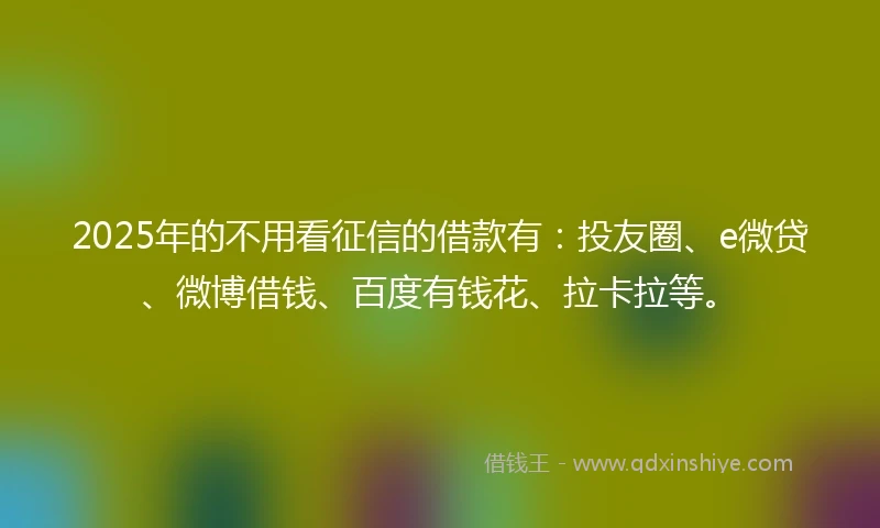 2025年的不用看征信的借款有：投友圈、e微贷、微博借钱、百度有钱花、拉卡拉等。