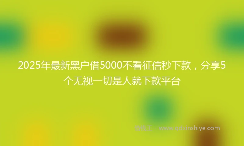 2025年最新黑户借5000不看征信秒下款，分享5个无视一切是人就下款平台