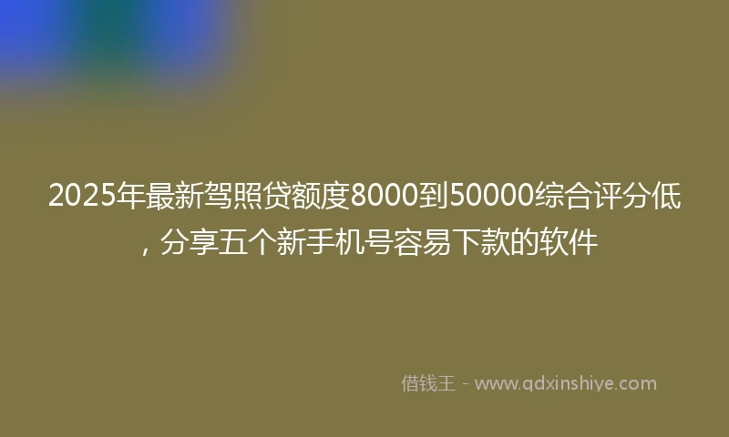 2025年最新驾照贷额度8000到50000综合评分低，分享五个新手机号容易下款的软件