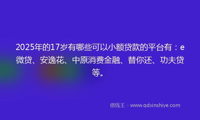 2025年的17岁有哪些可以小额贷款的平台有：e微贷、安逸花、中原消费金融、替你还、功夫贷等。